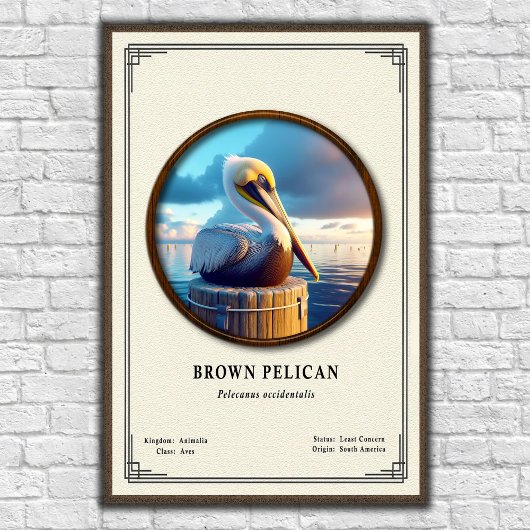 Poster Brown Pelican Zoologie Serie