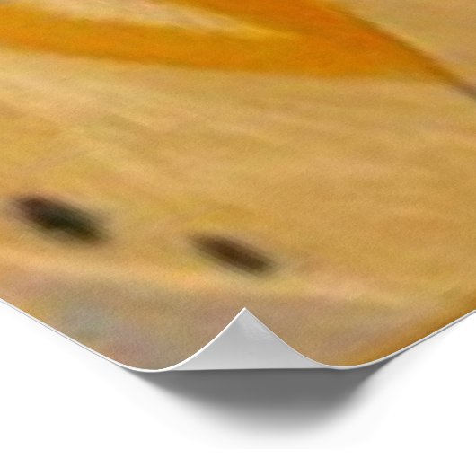 Poster Budgie Budgerigar (Hoek)