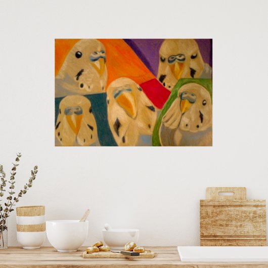 Poster Budgie Budgerigar (Keuken)