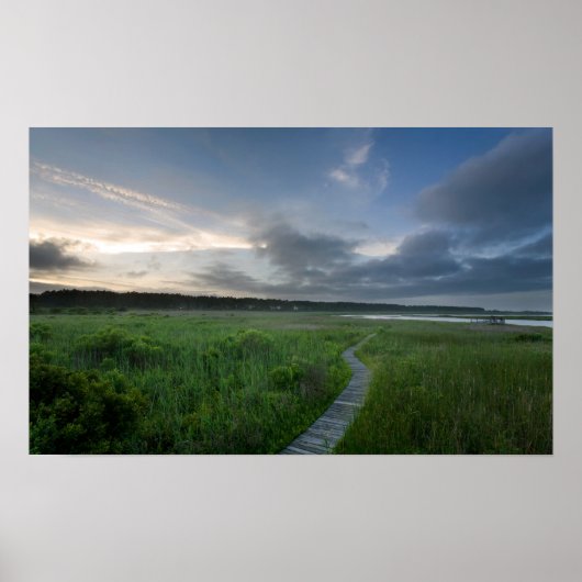  Poster: Buitenbanken Boardwalk Poster (Voorkant)