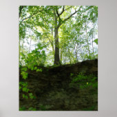 Poster buitenbomen (Voorkant)