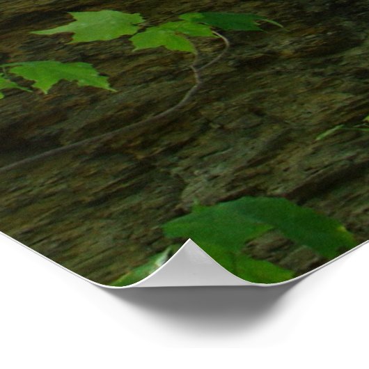 Poster buitenbomen (Hoek)