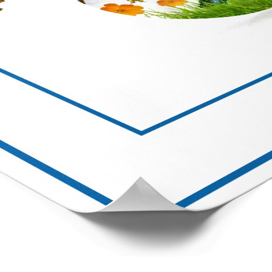 Poster-Butterflies 12 x 12 inch Poster (Hoek)