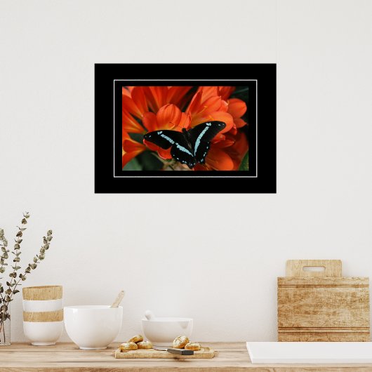 Poster Butterfly/Flowers (Keuken)