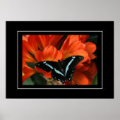 Poster Butterfly/Flowers (Voorkant)