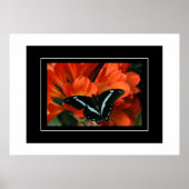 Poster Butterfly/Flowers (Voorkant)