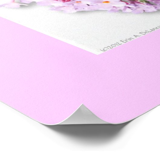 Poster Butterfly Haiku (Hoek)