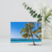 Poster cadeau voor Isla Saona Beach Domenican Repu Feestdagenkaart (Staand voorkant)