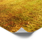 Poster - Cades Cove Tree - Great Smoky Mt. Nat'l (Hoek)