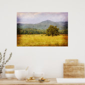 Poster - Cades Cove Tree - Great Smoky Mt. Nat'l (Keuken)