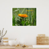 Poster - Calendula Bloom (Keuken)