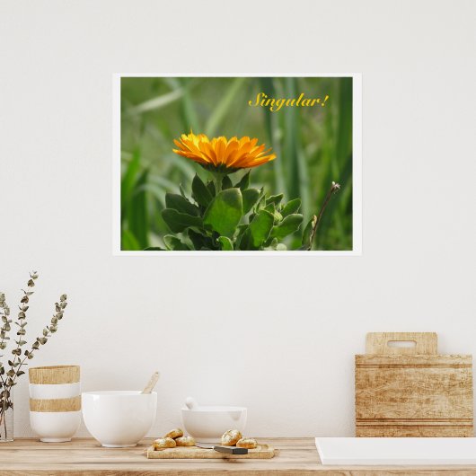 Poster - Calendula Bloom (Keuken)