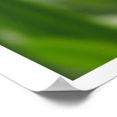 Poster - Calendula Bloom (Hoek)