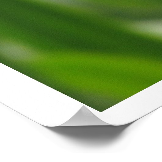 Poster - Calendula Bloom (Hoek)