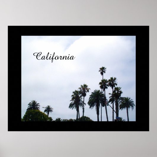 POSTER CALIFORNIA PALMS (Voorkant)