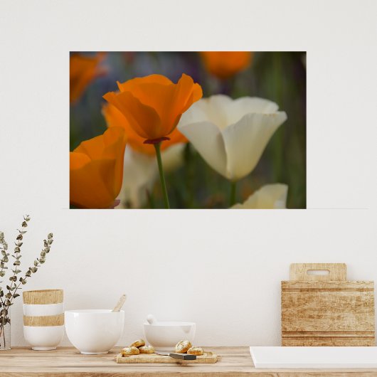 Poster California Poppies (Keuken)
