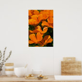 Poster California Poppies (Keuken)
