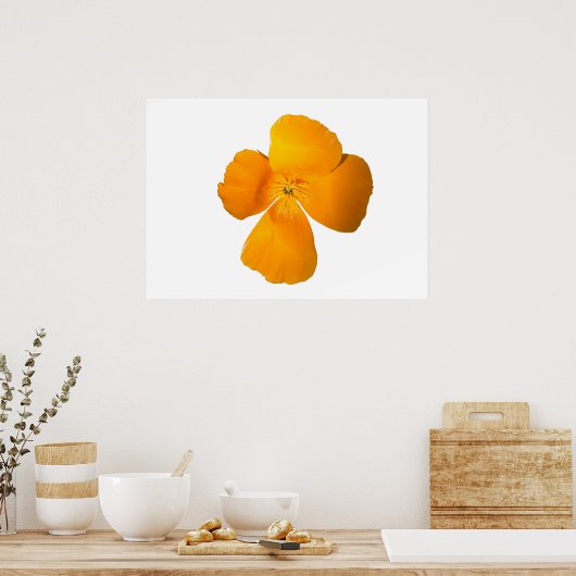 Poster Californië Poppy (Keuken)