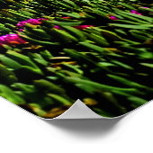 Poster Californische kustbloemen (Hoek)