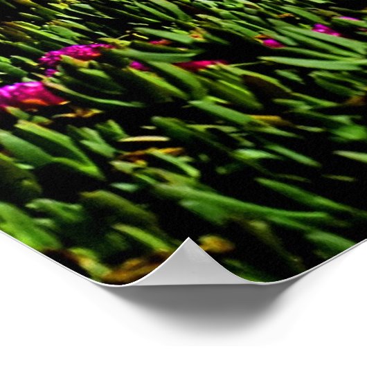 Poster Californische kustbloemen (Hoek)