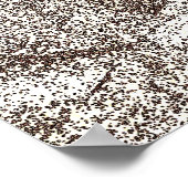 Poster  camera (Hoek)