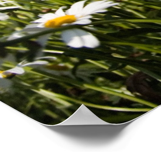 Poster-/canvasafdruk van dagen poster (Hoek)