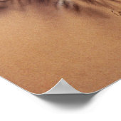 Poster Cape Buffalo & Oxpeckers (Hoek)