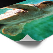 Poster Caretta #1 (Hoek)