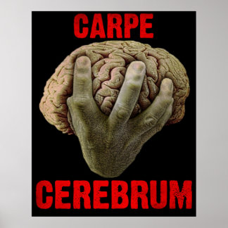 poster "CARPE CEREBRUM"