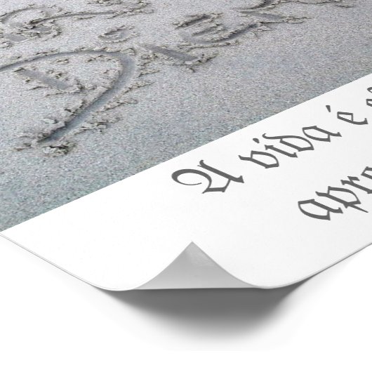 Poster Carpe Diem (Hoek)