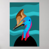Póster casuario poster (Voorkant)