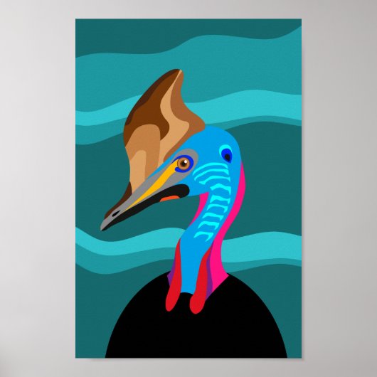 Póster casuario poster (Voorkant)