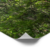 Poster Catherine Hoefijzer Trail Rock Wall Lake Ca (Hoek)