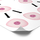 Poster celdeling (Hoek)