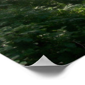 Poster Central Park West 100 Street (Hoek)