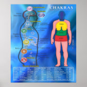 Poster Chakras e suas Relações (Voorkant)