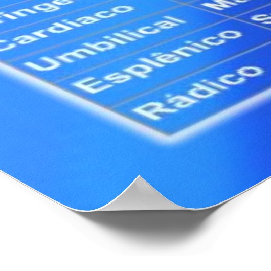 Poster Chakras e suas Relações (Hoek)