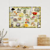 Poster champignons (eetbaar en medicinaal) (Keuken)