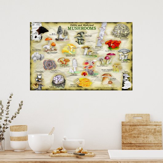 Poster champignons (eetbaar en medicinaal) (Keuken)