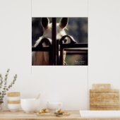 Poster, Change of Perspective, Horse, Farm, Rodeo Poster (Keuken)