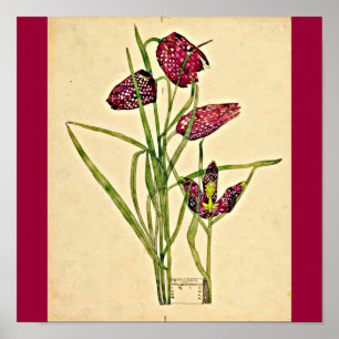 Poster--Charles Rennie Mackintosh 20 Poster