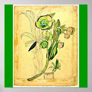 Poster--Charles Rennie Mackintosh 21 Poster