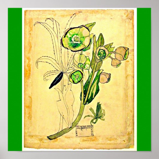 Poster--Charles Rennie Mackintosh 21 Poster (Voorkant)