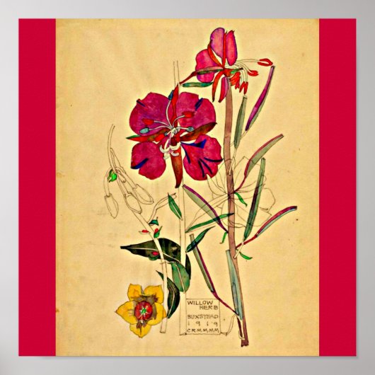 Poster--Charles Rennie Mackintosh 28 Poster (Voorkant)