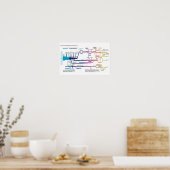 Poster Chart Verenigde Staten Amerikaans Strafrech (Keuken)