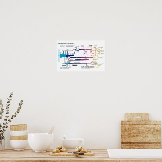 Poster Chart Verenigde Staten Amerikaans Strafrech (Keuken)