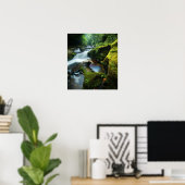 Poster: Chattooga Waterfall Poster (Thuiskantoor)