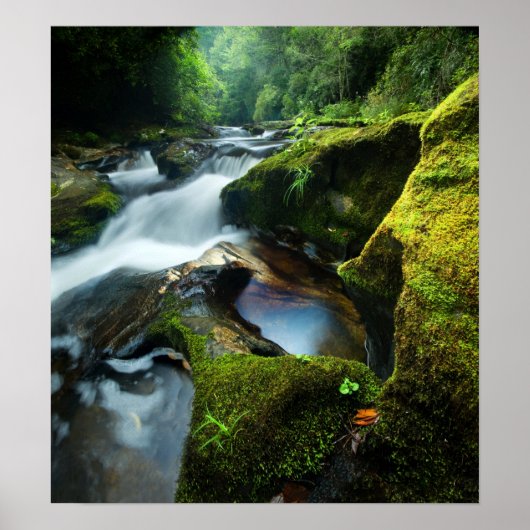 Poster: Chattooga Waterfall Poster (Voorkant)