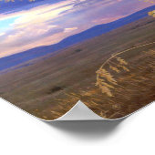 Poster-Cheetah Poster (Hoek)