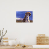 Poster-Cheetah Poster (Keuken)